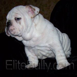 Look how sweet this boy is!