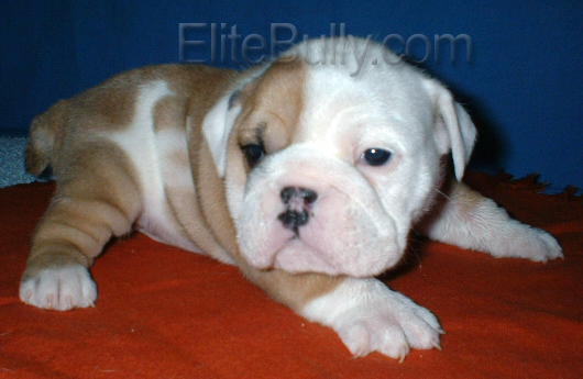 Look how sweet this girl is!