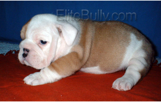 She looks scared because she is still very small