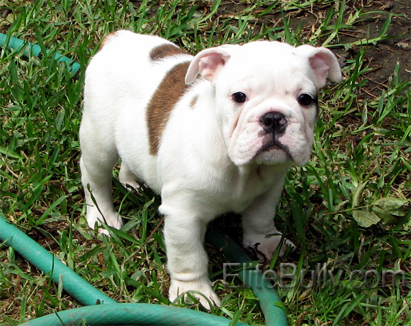 Look how sweet this boy is!